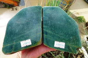 Natural Jade Rough Jadeite Raw 1.18kg