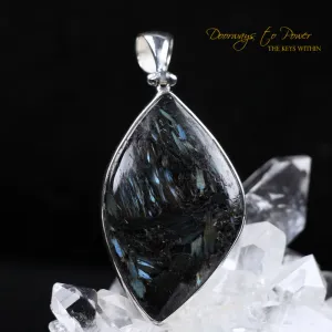 Nuummite Crystal Pendant SS