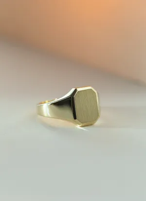 Woody signet ring 14k gold